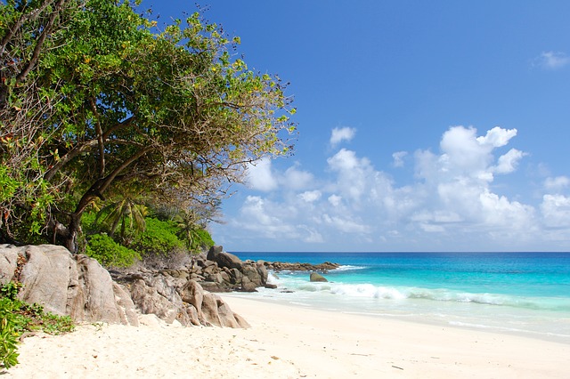 MAURITIUS E SEYCHELLES 